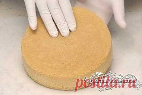 Как приготовить бисквит (основные рецепты)