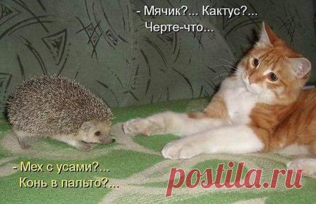 Интересные новости