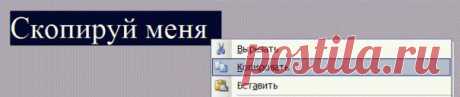 Правильно ли вы используете функцию «копировать/вставить»? | Лайфхакер