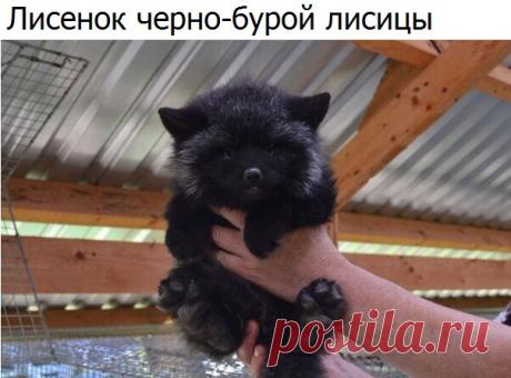 Знаете ли Вы?
