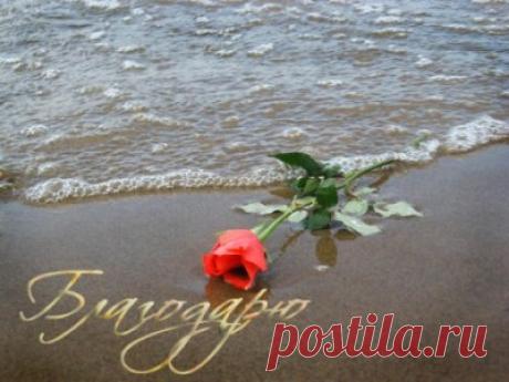 МК. Вышивка по принту. Часть 8