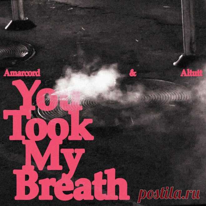 Amarcord & Altutt - You Took My Breath (Single) (2025) 320kbps / FLAC