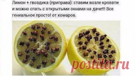 полезно знать!