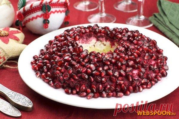 Салат Гранатовый браслет | Рецепт салата гранатовый браслет с фото | Гранатовый браслет с курицей на Webspoon.ru
