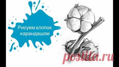 Хлопок рисунок карандашом - 81 идей для срисоки