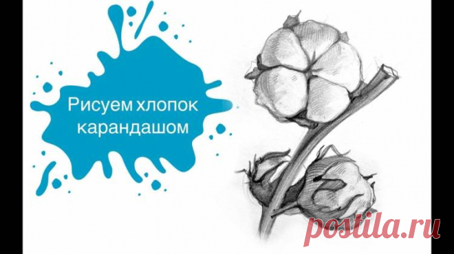 Хлопок рисунок карандашом - 81 идей для срисоки