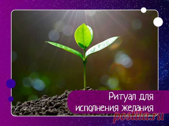 Эзотерика, психология, философия