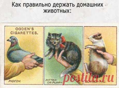 Советы из прошлого - Делимся советами