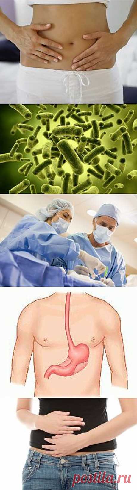 12 удивительных фактов о вашей пищеварительной системе | ПолонСил.ру - социальная сеть здоровья