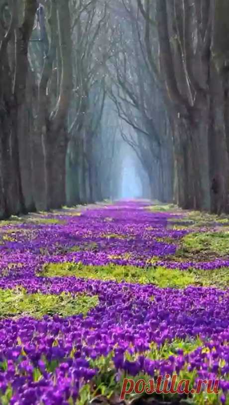 Мир ярких красок - Google+