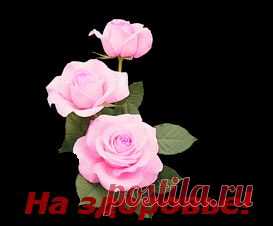 НАСТОЙКИ, КОТОРЫЕ НЕОБХОДИМО ИМЕТЬ В ДОМАШНЕЙ АПТЕЧКЕ