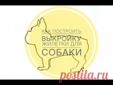 Как построить выкройку жилетки для собаки