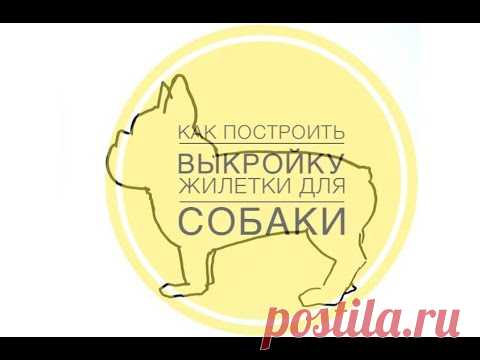 Как построить выкройку жилетки для собаки
