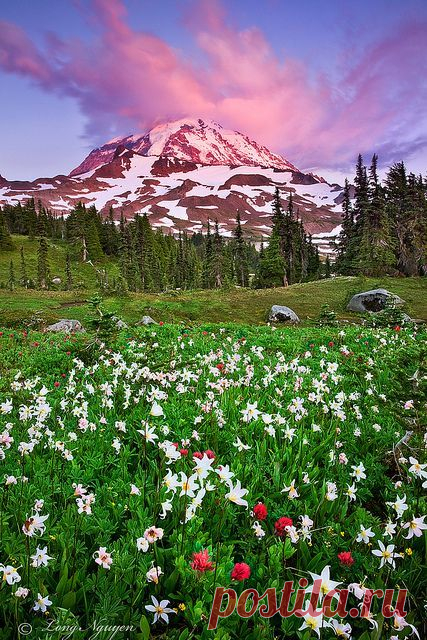 Summer sunset, Mt Rainier, Washington,  flickr от LongHN Photo  |  Pinterest: инструмент для поиска и хранения интересных идей