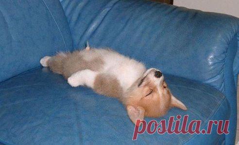 Лучшее окончание спора с женщиной - притвориться мертвым!!