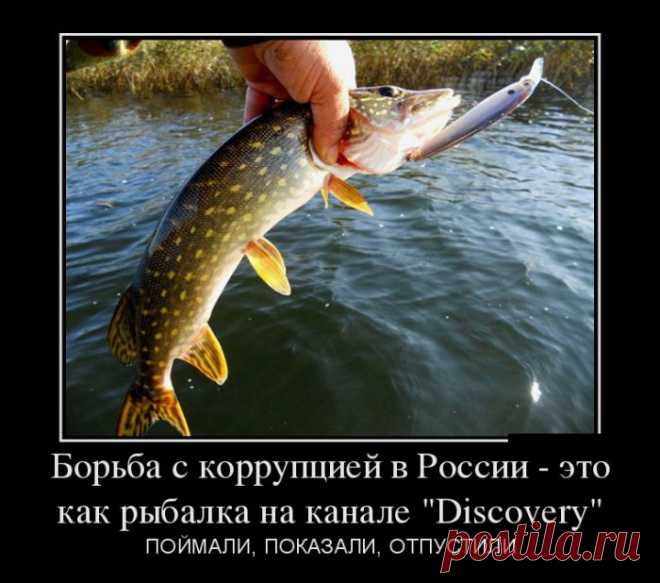 Взаимная радость (30 фото)