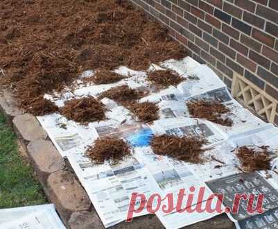 Как избавиться от сорняков на грядке или клумбе одним махом. Знать бы раньше... Настелите газеты в 3-4 слоя, закройте мульчей сверху. Газеты предотвращают прорастание сорняков и в отличие от ткани полностью разлагаются через 18 месяцев. За это время все семена сорных растений, находящихся в земле, погибнут. Газеты на грядке - это экологично, дешево и, если вдруг вы захотите сде