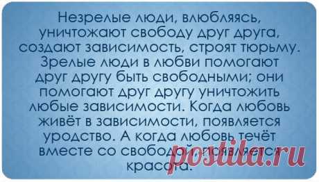 Мои закладки