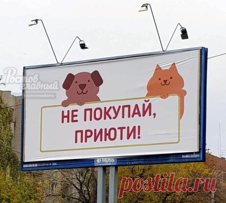 Правильная реклама