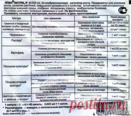 Как развести эпин и другие стимуляторы по каплям для рассады? Спасибо. / Асиенда.ру