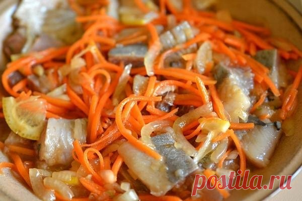 Сельдь «Хе» с морковью и луком — Полезные советы