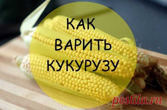 Живем летом в Крыму, рассказываю, как я варю кукурузу быстро и вкусно | Кулинарные записки обо всём | Яндекс Дзен