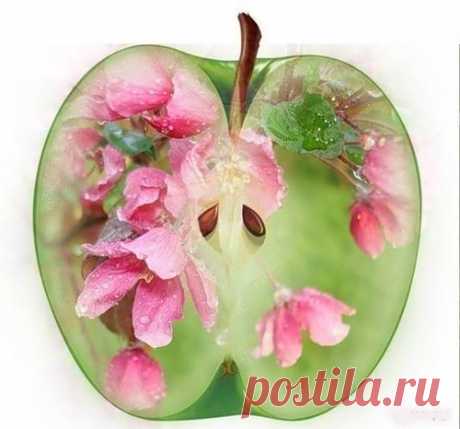 ВСЯКАЯ " В С Я Ч И Н К А" ((((СКАЗОЧНАЯ СТРАНА))) В Кругу Друзей — социальная сеть