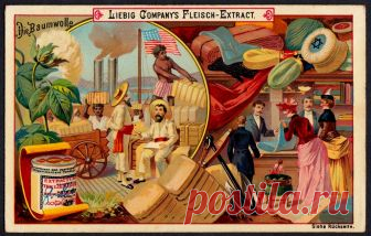 Liebig Tradecard S277 - Cotton Liebig's extract of meat 