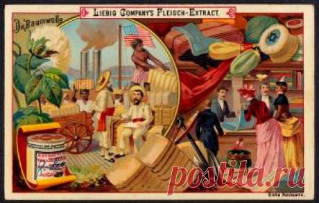 Liebig Tradecard S277 - Cotton Liebig's extract of meat "Natural Resources I" German issue, 1890