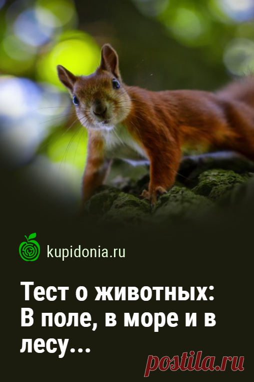 Тест о животных: В поле, в море и в лесу.... Пройдите тест о животных, которые живут в разных уголках нашей планеты. Попробуйте ответить правильно на каждый из 20-ти вопросов.
