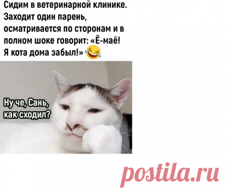 055013e7.png (896×753)