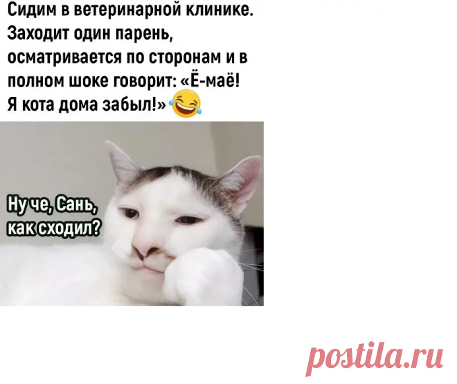 055013e7.png (896×753)