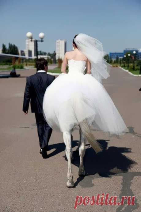 7 фото с идеально пойманными моментами- в нужное время в нужном месте.