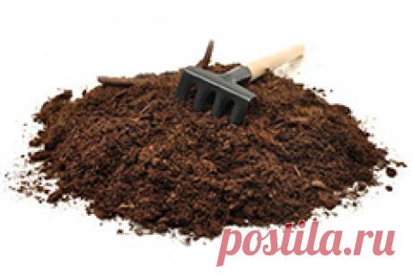 Почвосмеси для комнатных растений — интернет магазин товаров для сада и огорода Лето 🌿  — Тел: (044) 229-11-60 — специализированный интернет магазин товаров для сада, огорода и ландшафта Лето