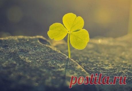 В палате для безнадежно больных лежали двое: женщина сорока пяти лет и девочка четырех, а может, пяти лет