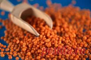 Как правильно сварить чечевицу?