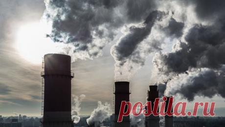 Учёные смогли переработать вредные газы в полезные материалы с помощью света и нанобиоорганизмов Американские учёные создали «живые фабрики» по переработке вредных газов в полезные материалы. Разработка представляет собой нанобиогибридные организмы,