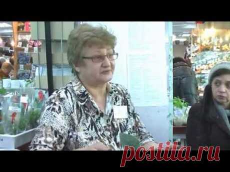 О стеллажах из ИКЕЯ Фиалки зимой  Г Чегодаева