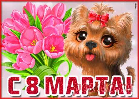 Картинки с 8 Марта | ТОП Картинки