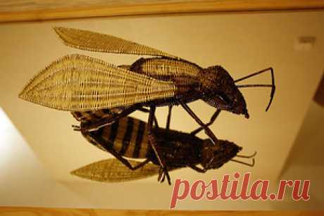 И сново про дерево | Резьба по дереву, кости и камню