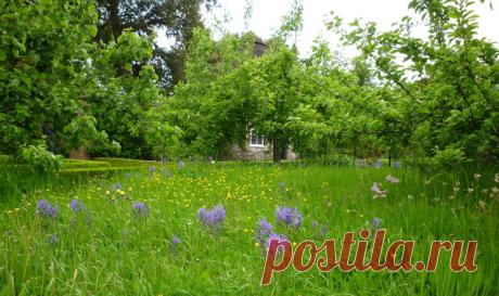Wildflower Meadows - Классический - Фасад дома - Другое - от эксперта Claudia De Yong Garden Design