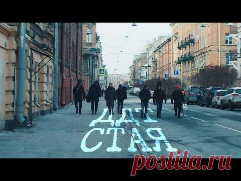 Клип ДДТ - Стая (2022) скачать бесплатно