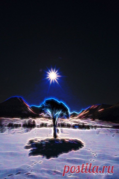 Фотографии пользователя Frank