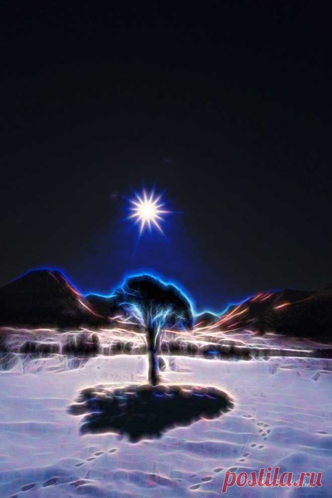 Фотографии пользователя Frank