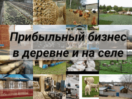 .: Прибыльный бизнес в деревне и на селе: какой лучше открыть? 6