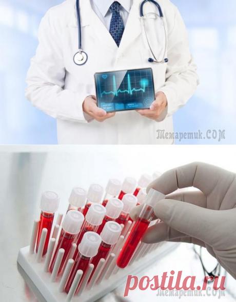 Как понять врача: расшифровываем анализы