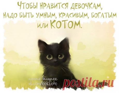 мудрые изречения - Поиск в Google