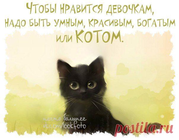 мудрые изречения - Поиск в Google