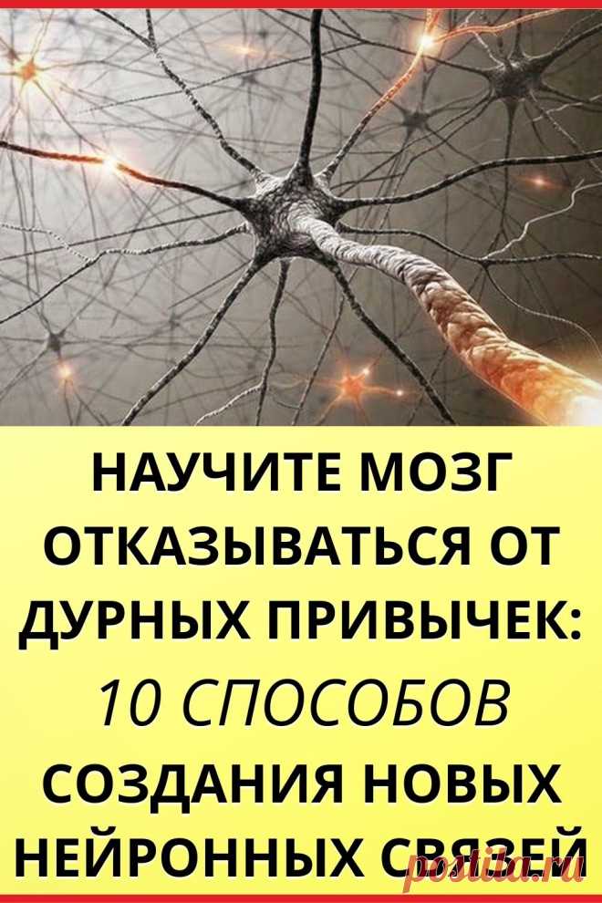 Научите мозг отказываться от дурных привычек: 10 способов создания новых нейронных связей