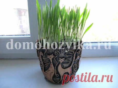 Горшок своими руками